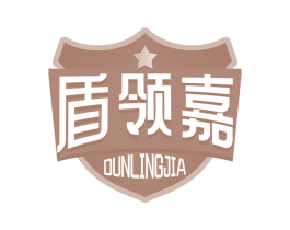盾领嘉 第9类科学仪器商标图样