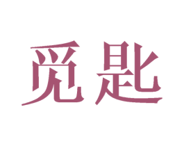 觅匙 第9类科学仪器商标图样