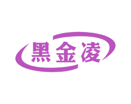 黑金凌 第9类科学仪器商标图样