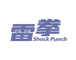 雷拳 SHOCK PUNCH 第9类科学仪器商标图样