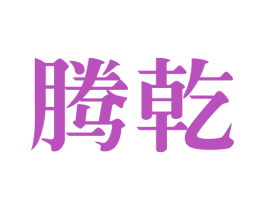 腾乾 第28类体育玩具商标图样
