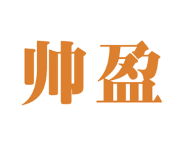 帅盈 第19类建筑材料商标图样