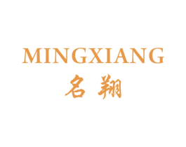 名翔 第9类科学仪器商标图样