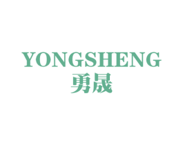 勇晟 第9类科学仪器商标图样