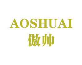 傲帅 第9类科学仪器商标图样