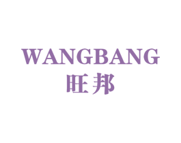 旺邦 第9类科学仪器商标图样