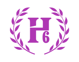 H6 第25类服装鞋帽商标图样