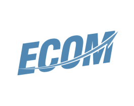 ECOM 第28类体育玩具商标图样