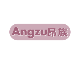 昂族 第9类科学仪器商标图样