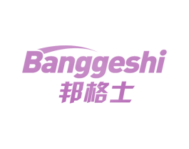 邦格士 第9类科学仪器商标图样