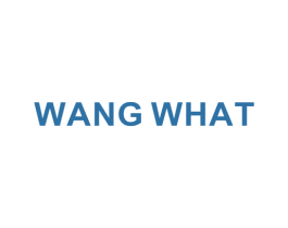 WANG WHAT 第25类服装鞋帽商标图样