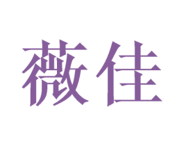 薇佳 第28类体育玩具商标图样