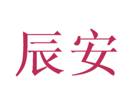 辰安 第27类地毯席垫商标图样