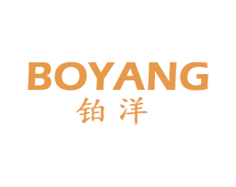 铂洋 第14类珠宝钟表商标图样