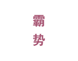 霸势 第33类酒商标图样