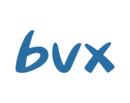 BVX 第12类运输工具商标图样