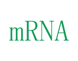 MRNA 第35类广告贸易商标图样