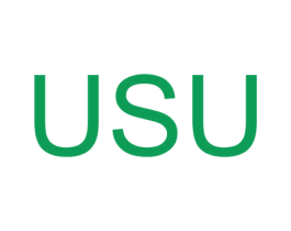USU 第26类花边配饰商标图样