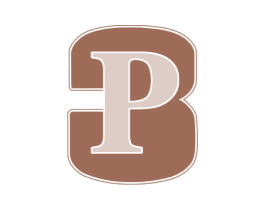 3 P 第25类服装鞋帽商标图样