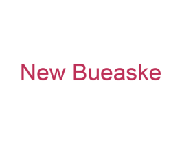 NEW BUEASKE 第25类服装鞋帽商标图样