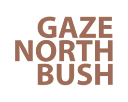 GAZE NORTH BUSH 第25类服装鞋帽商标图样