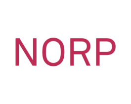 NORP 第25类服装鞋帽商标图样