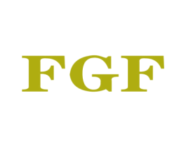FGF 第17类橡胶制品商标图样