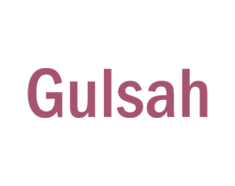 GULSAH 第11类家用电器商标图样