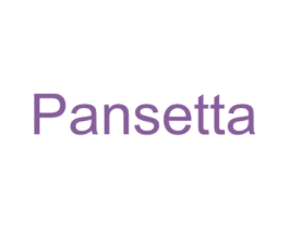 PANSETTA 第11类家用电器商标图样