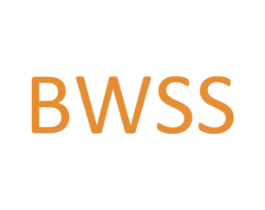 BWSS 第10类医疗器械商标图样