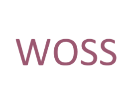WOSS 第10类医疗器械商标图样