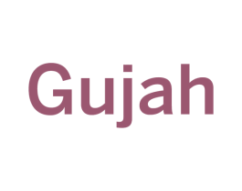 GUJAH 第9类科学仪器商标图样