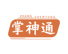 掌神通 第9类科学仪器商标图样