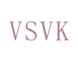 VSVK 第35类广告贸易商标图样