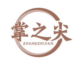 掌之尖 第9类科学仪器商标图样