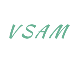 VSAM 第11类家用电器商标图样