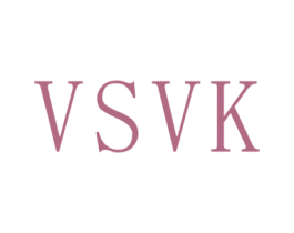VSVK 第11类家用电器商标图样