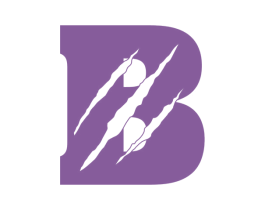 B 第19类建筑材料商标图样