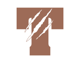 T 第6类五金金属商标图样