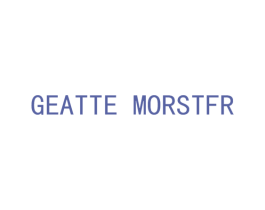 GEATTE MORSTFR 第9类科学仪器商标图样