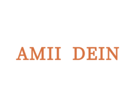 AMII DEIN 第25类服装鞋帽商标图样