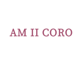AM II CORO 第25类服装鞋帽商标图样