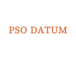 PSO DATUM 第25类服装鞋帽商标图样