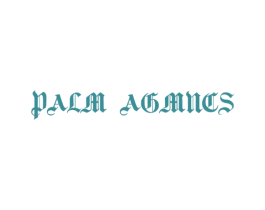 PALM AGMNCS 第25类服装鞋帽商标图样