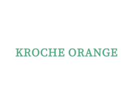 KROCHE ORANGE 第25类服装鞋帽商标图样