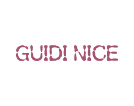 GUIDI NICE 第25类服装鞋帽商标图样