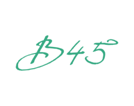 B45 第25类服装鞋帽商标图样