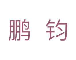 鹏钧 第28类体育玩具商标图样