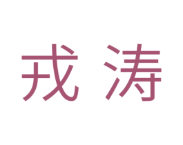 戎涛 第25类服装鞋帽商标图样