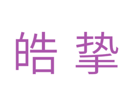 皓挚 第11类家用电器商标图样